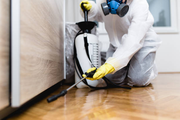 Best Cockroach Control Services  in Whittingham, NJ