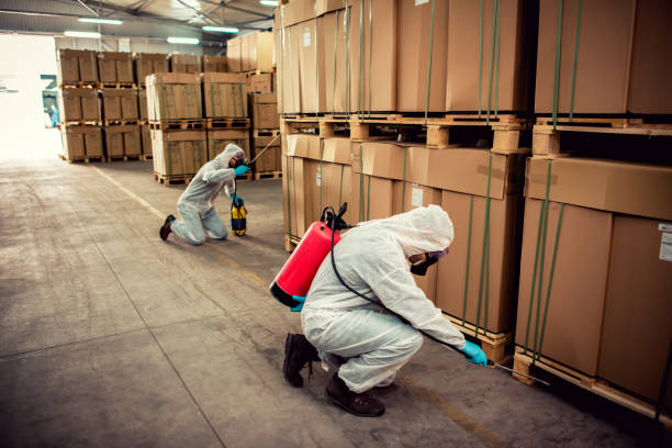 Best Flea Control Services  in Whittingham, NJ