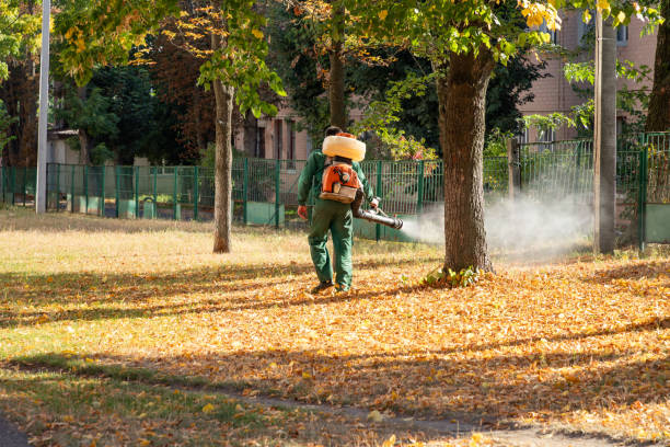 Best Wasp Removal Services  in Whittingham, NJ