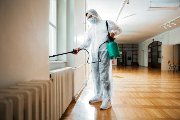 Best Wasp Removal Services  in Whittingham, NJ