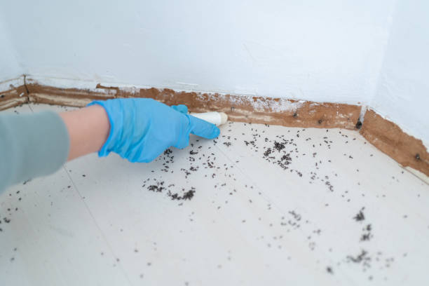 Best Wildlife Control Services  in Whittingham, NJ