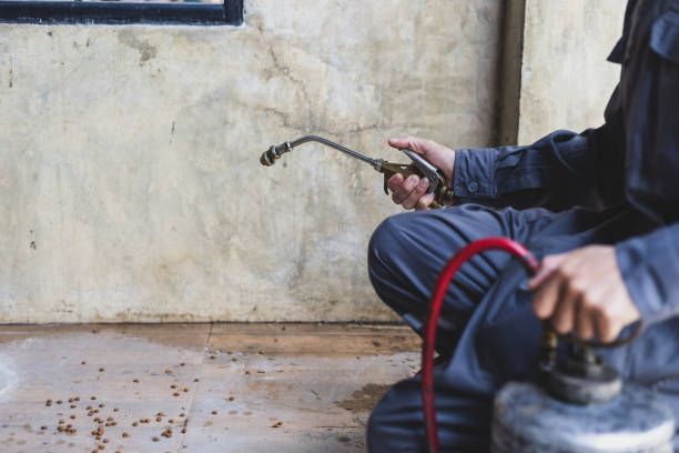 Best Residential Pest Control  in Whittingham, NJ